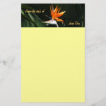 Bird of Paradise Orange Tropical Flower Stationery