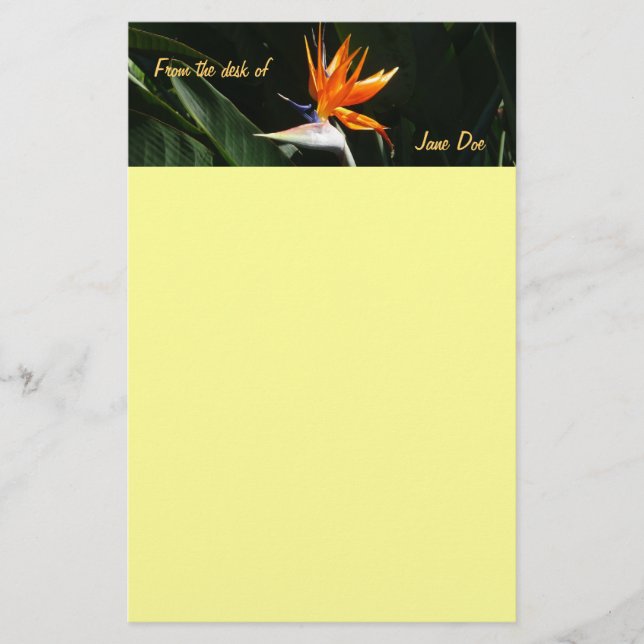 Bird of Paradise Orange Tropical Flower Stationery (Front)