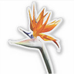 Bird of Paradise Orange Tropical Flower Sticker