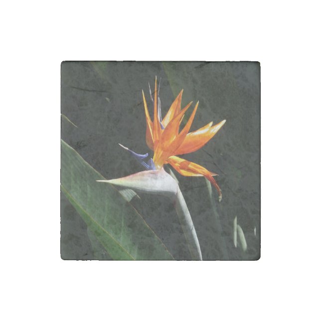 Bird of Paradise Orange Tropical Flower Stone Magnet (Front)