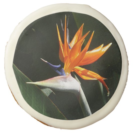 Bird of Paradise Orange Tropical Flower Sugar Cookie (Front)
