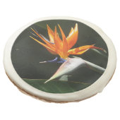 Bird of Paradise Orange Tropical Flower Sugar Cookie (Angled)