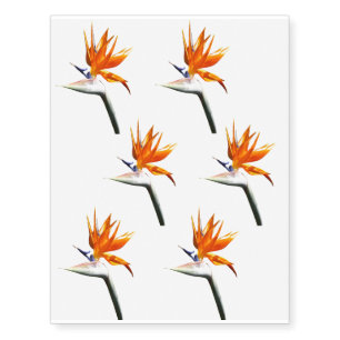 Bird of Paradise Orange Tropical Flower Temporary Tattoos