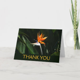Bird of Paradise Orange Tropical Flower Thank You Card