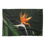Bird of Paradise Orange Tropical Flower Towel