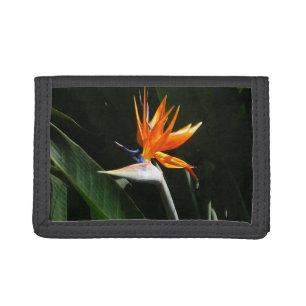 Bird of Paradise Orange Tropical Flower Trifold Wallet