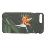 Bird of Paradise Orange Tropical Flower iPhone 8 Plus/7 Plus Case