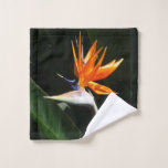 Bird of Paradise Orange Tropical Flower Wash Cloth