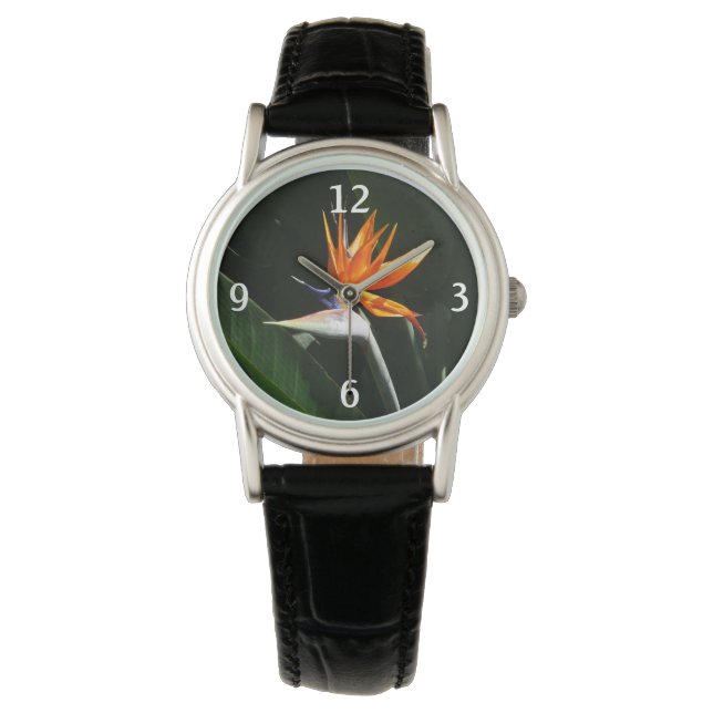 Bird of Paradise Orange Tropical Flower Watch (Front)