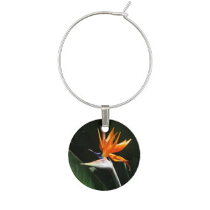 Bird of Paradise Orange Tropical Flower Wine Charm