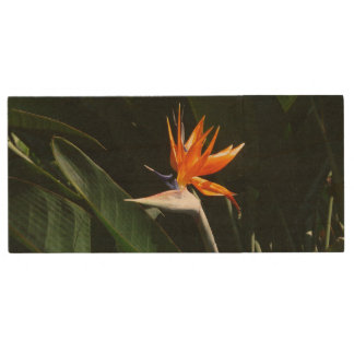 Bird of Paradise Orange Tropical Flower Wood Flash Drive