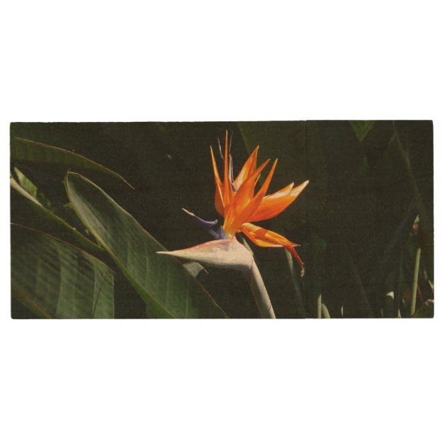 Bird of Paradise Orange Tropical Flower Wood Flash Drive (Front)