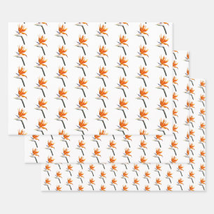 Bird of Paradise Orange Tropical Flower Wrapping Paper Sheets