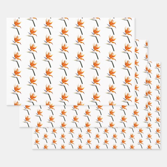 Bird of Paradise Orange Tropical Flower Wrapping Paper Sheets (Set)