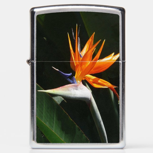 Bird of Paradise Orange Tropical Flower Zippo Lighter (Front)