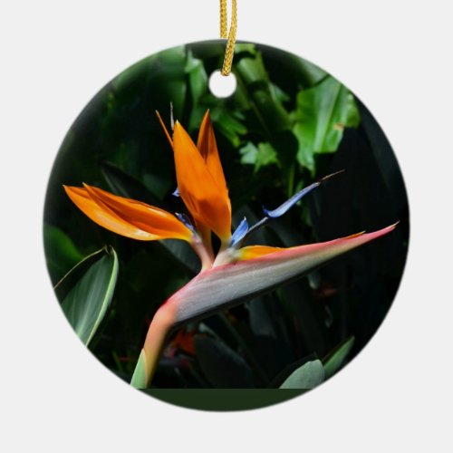 Bird of paradise ornament