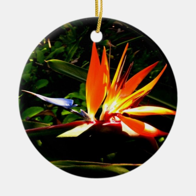Bird of Paradise Ornament (Front)
