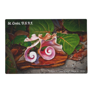 Bird of Paradise Placemat