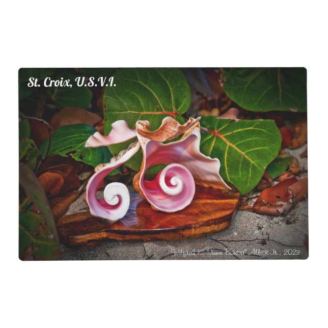 Bird of Paradise Placemat (Front)