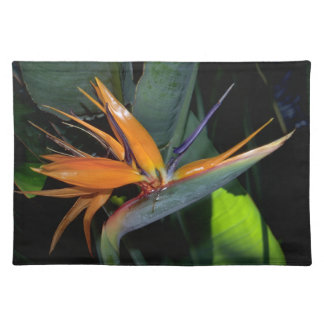 Bird of Paradise Placemats  20" x 14"