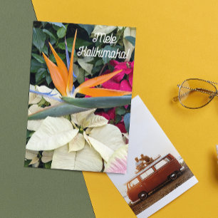 Bird of Paradise Plant and Poinsettias Hawaiian Holiday Card