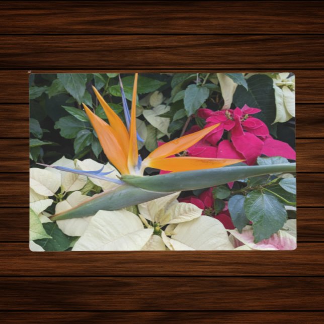 Bird of Paradise Plant and Poinsettias Holiday Placemat (In Situ Front)