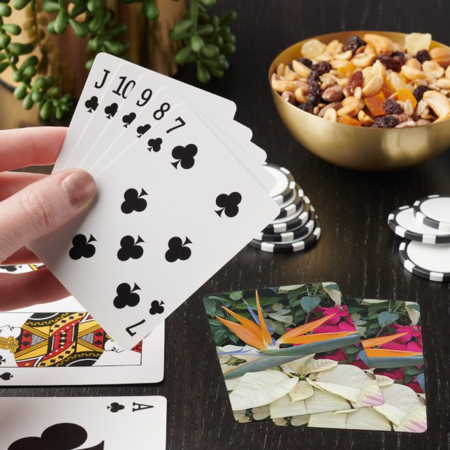 Bird of Paradise Plant and Poinsettias Poker Cards (In Situ)