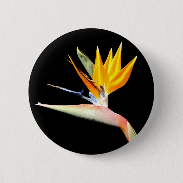 Bird of Paradise Plant Badge Button (Front)