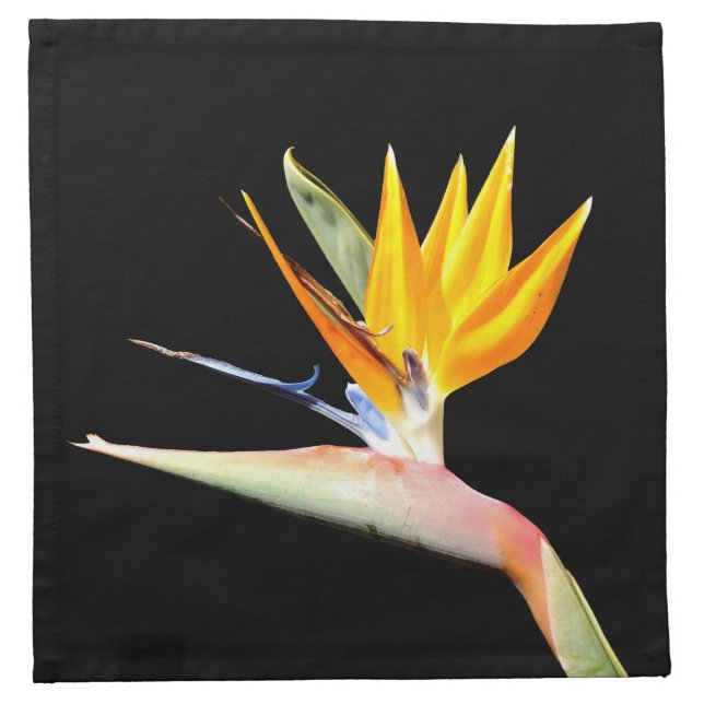 Bird of Paradise Plant Cloth Napkins (Front)