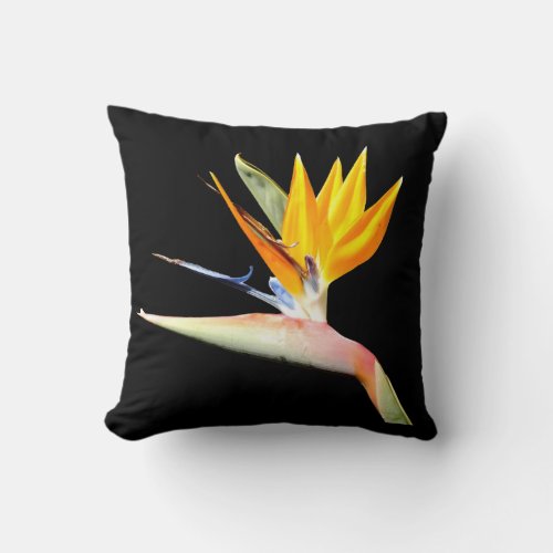 Bird of Paradise Plant Cushion