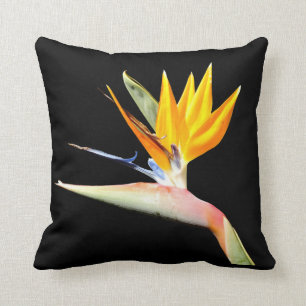 Bird of Paradise Plant Cushion