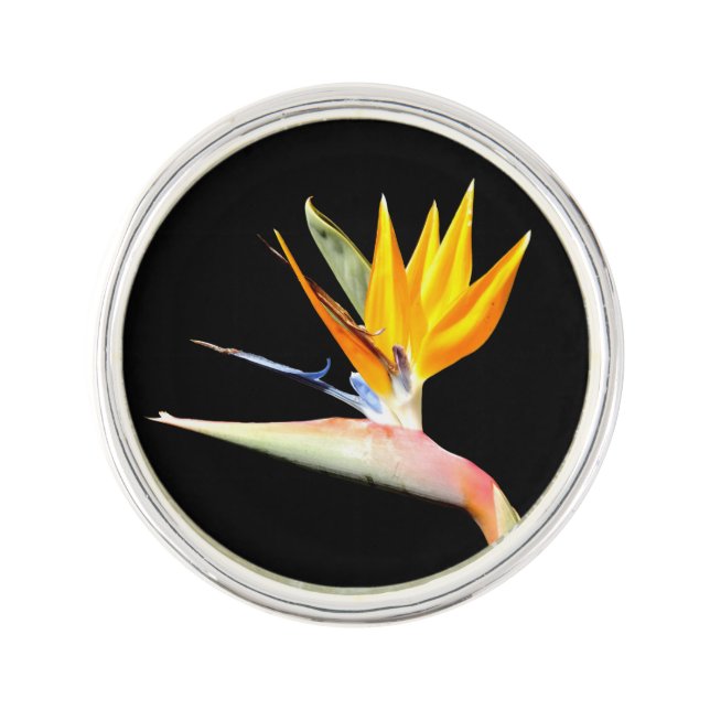 Bird of Paradise Plant Lapel Pin (Front)