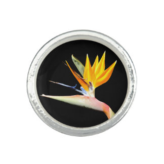 Bird of Paradise Plant Photo Ring
