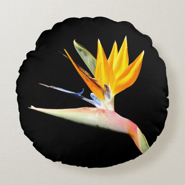 Bird of Paradise Plant Round Cushion (Front)