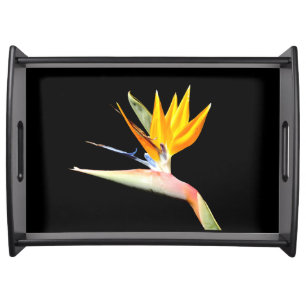 Bird of Paradise Plant Serving Tray