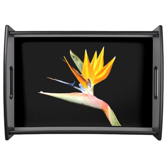 Bird of Paradise Plant Serving Tray (Front)