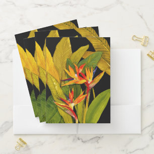 Bird of Paradise Pocket Folder