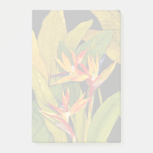 Bird of Paradise Post-it Notes