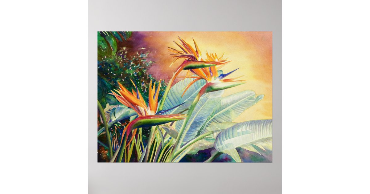 Bird of Paradise Poster | Zazzle