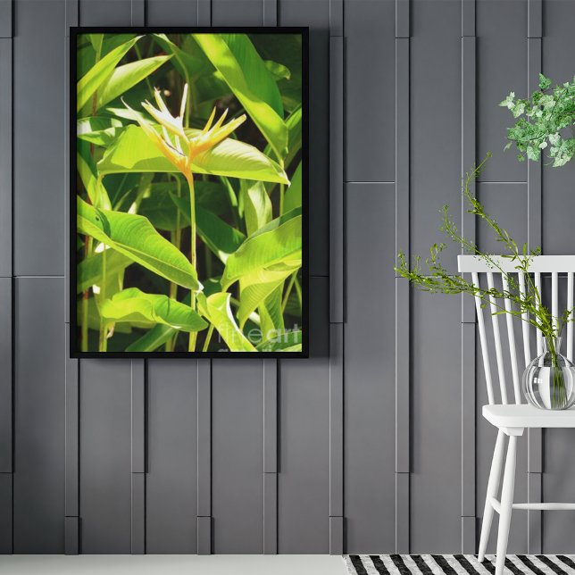 Bird of Paradise Poster (Creator Uploaded)