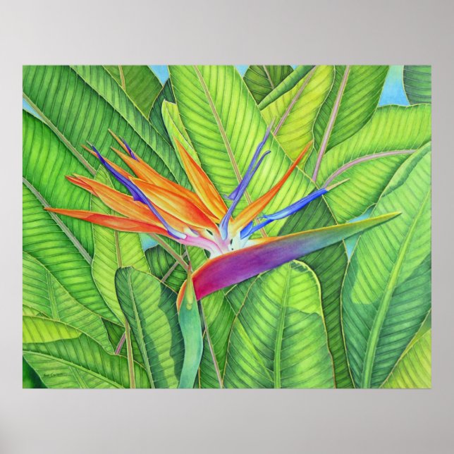 Bird of Paradise Poster (Front)