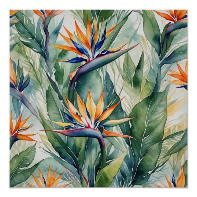 bird of paradise poster (Front)
