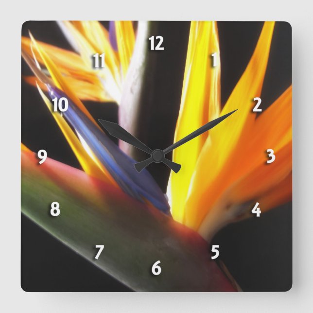 Bird of Paradise Round Clock (Front)
