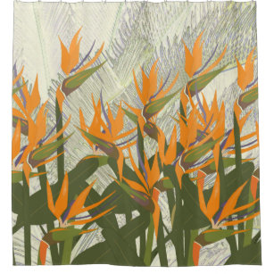 Bird Of Paradise Shower Curtains Zazzle