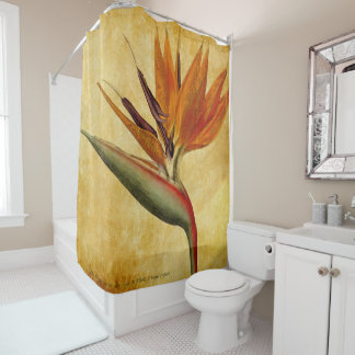 bird of paradise shower curtain