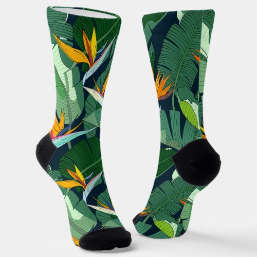 Bird of Paradise