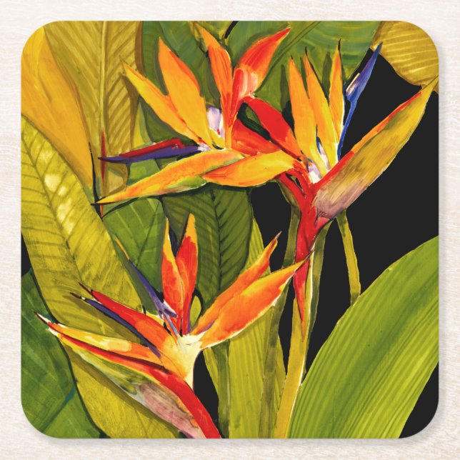 Bird of Paradise Square Paper Coaster (Front)