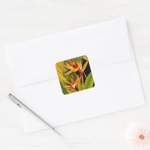 Bird of Paradise Square Sticker