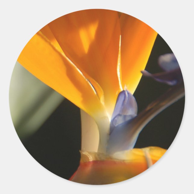 Bird-Of-Paradise Sticker (Front)