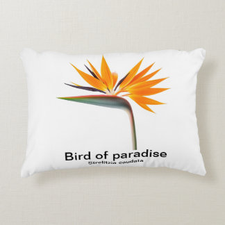 bird of paradise strelitzia pillow
